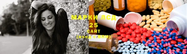 прущая мука Бородино
