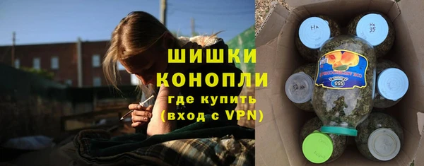 прущая мука Бородино