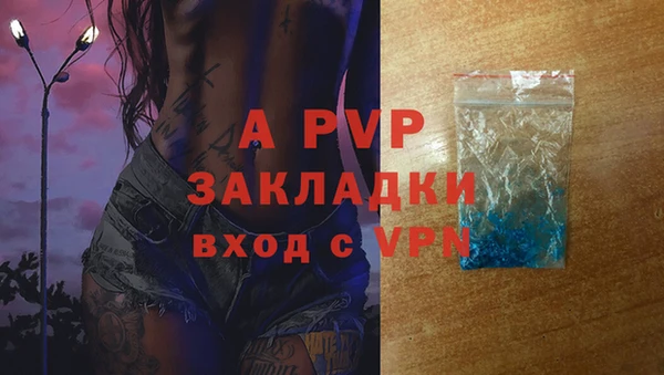 ECSTASY Бронницы