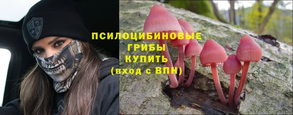 прущий лед Бугульма