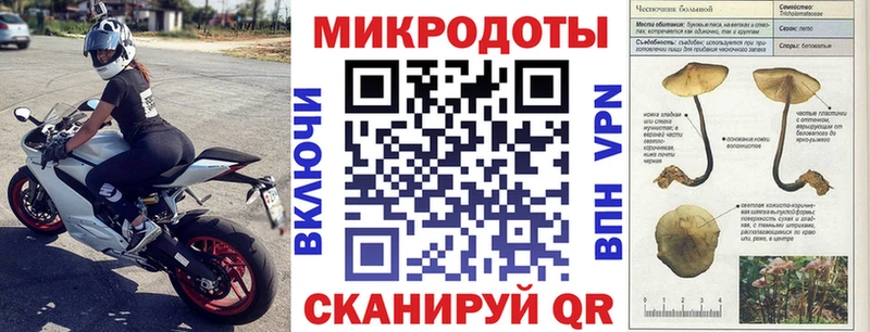 Псилоцибиновые грибы Cubensis  Купить  Олёкминск 