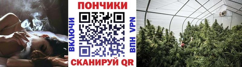 Купить закладки  Олёкминск  Шишки марихуана LSD WEED 